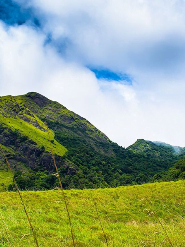 A Journey to the Best Places in Wayanad