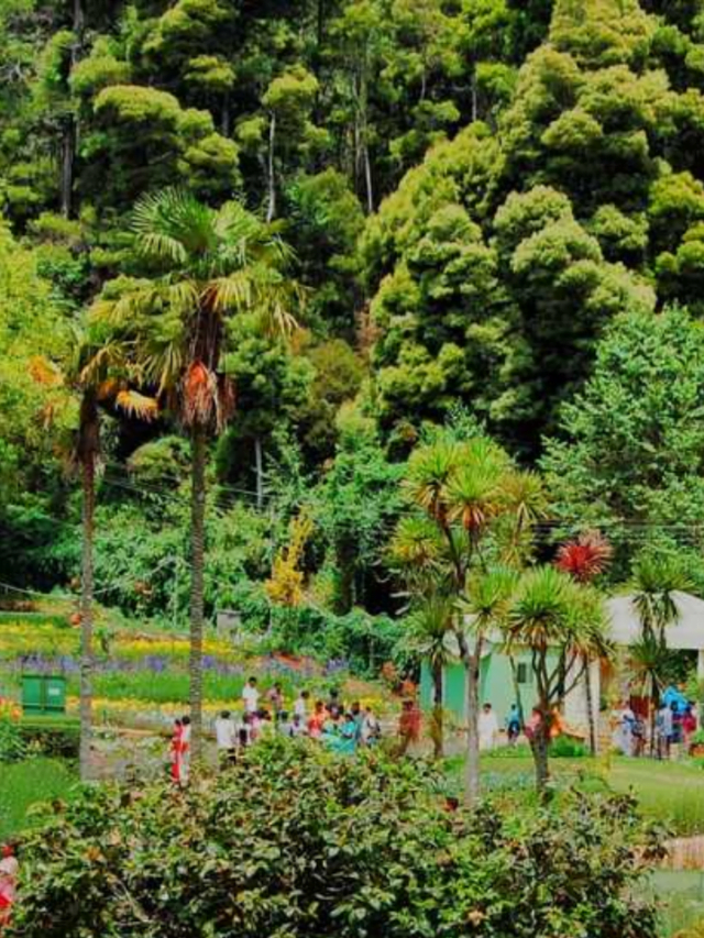 Kodaikanal Tourist Places for Nature Lovers